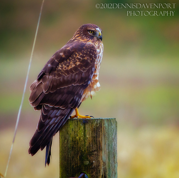Surveying the Land