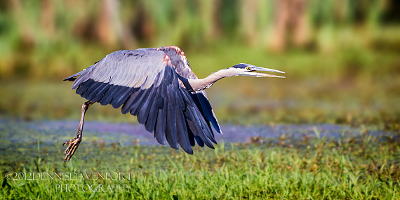 Heron Launch