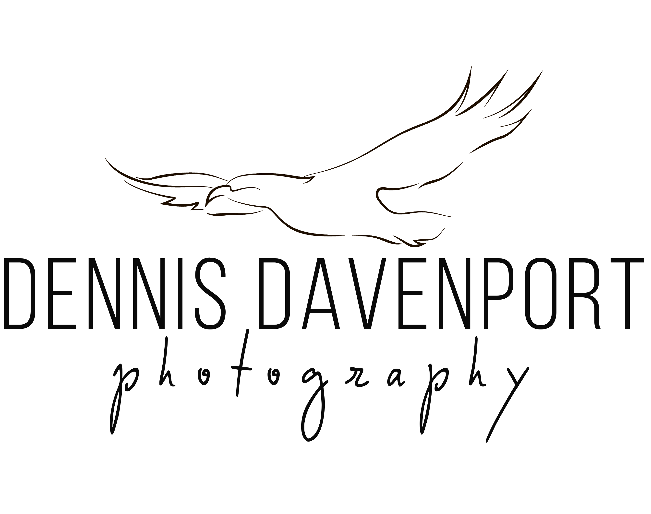 dennisdavenportphotography-logo draft-black